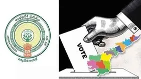 స్థానిక సంస్థల ఎన్నికలు.. 244 ఎఫ్‌ఐఆర్‌లు