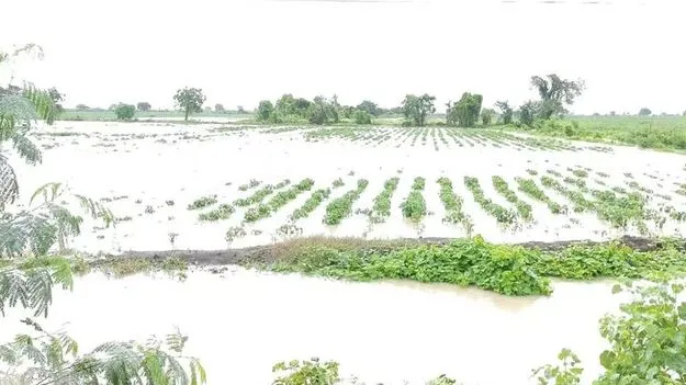 రైతు కష్టం వర్షార్పణం