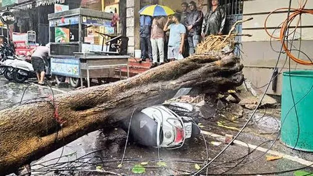 కుప్పకూలిన విద్యుత్‌ వ్యవస్థ