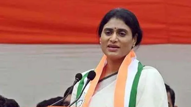 స్థానిక ఎన్నికల్లో కాంగ్రెస్‌ సీనియర్లకు బాధ్యతలు
