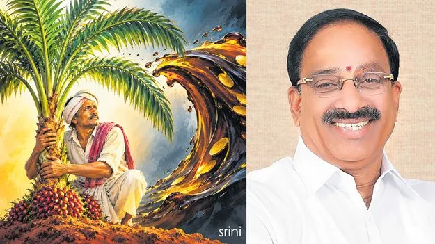 ఆయిల్‌పామ్‌... సుంకం తగ్గింపు దేనికి సంకేతం?