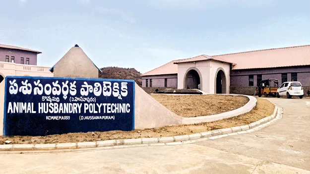 వెటర్నరీ పాలిటెక్నిక్‌లో సమస్యలు