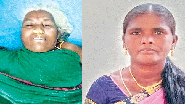 పాముకాటుతో వృద్ధురాలి మృతి