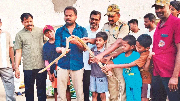 మార్నింగ్‌ వాక్‌లో పాములపై అవగాహన 