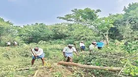అటవీ భూముల్లో ఉద్రిక్తత