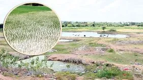 నానాటికీ... లోలోతుకు....!
