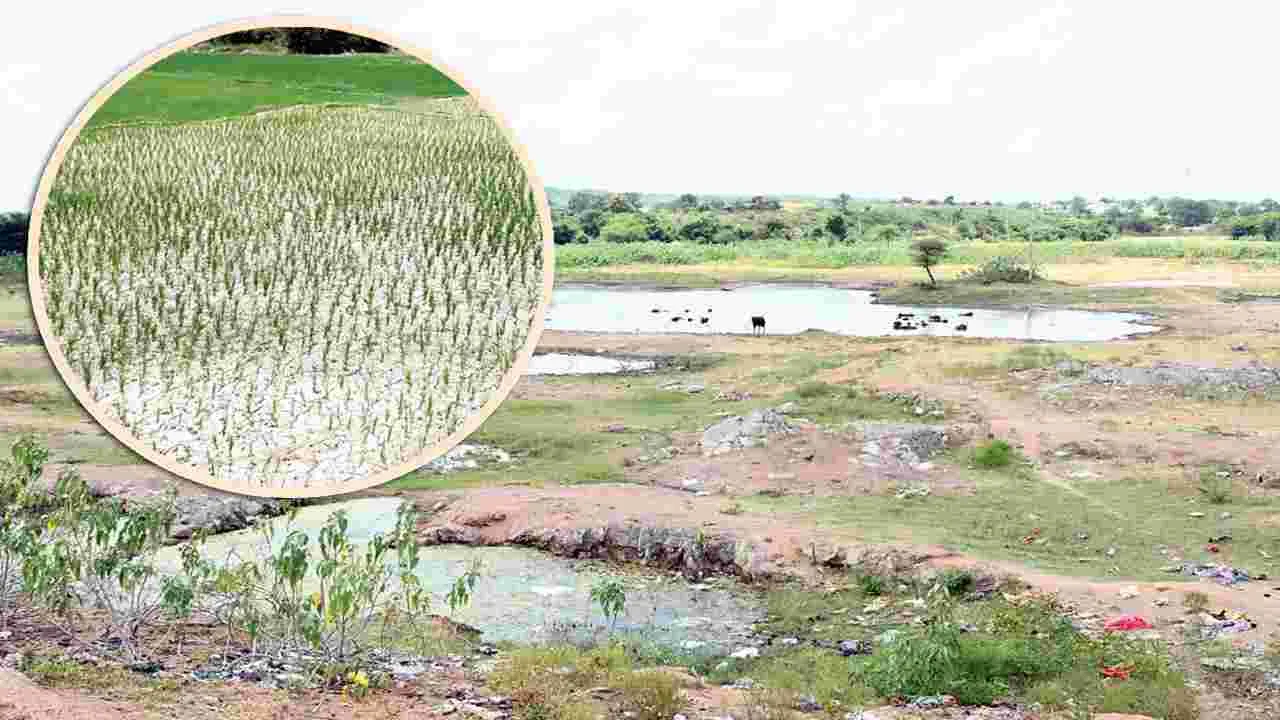 నానాటికీ... లోలోతుకు....!