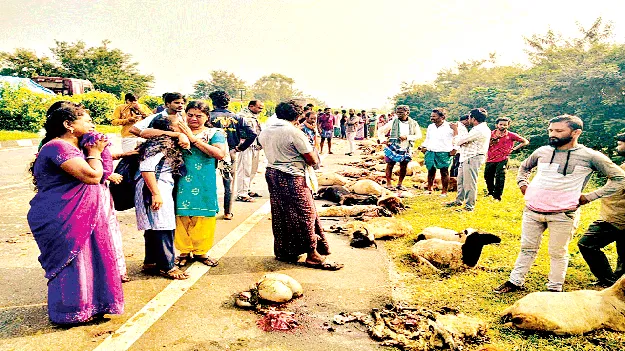 మృత్యువులా దూసుకొచ్చి..
