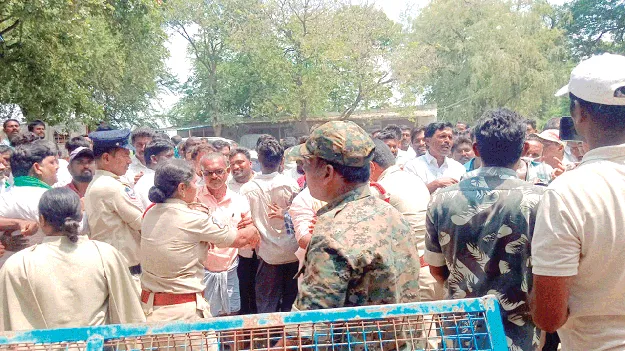 ఎల్‌నినో పాలిట్రిక్స్‌..!
