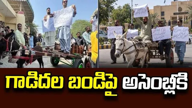 గాడిదల బండిపై అసెంబ్లీకి వెళ్లిన పాకిస్థాన్ శాసనసభ్యులు.. వీడియో వైరల్