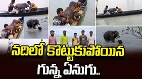 నదిలో కొట్టుకుపోయిన ఏనుగు పిల్ల.. తల్లితో కలిపిన మత్స్యకారులు..