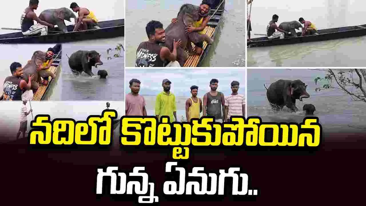 నదిలో కొట్టుకుపోయిన ఏనుగు పిల్ల.. తల్లితో కలిపిన మత్స్యకారులు..