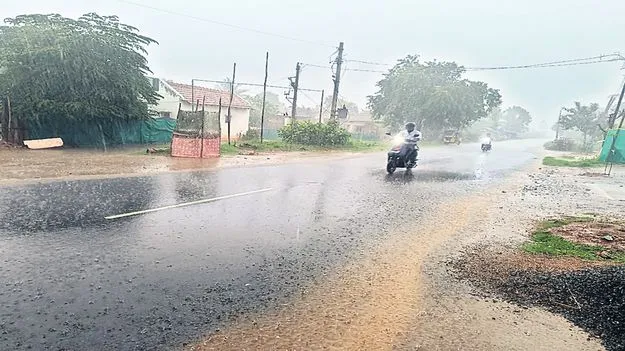 దంచికొట్టిన వాన