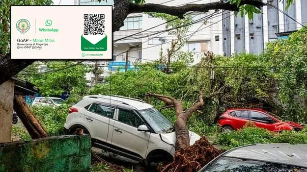 ‘మనమిత్ర’ అద్భుతం!