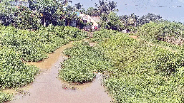 కాలువలు ఇలా..  సాగునీరు ఎలా? 