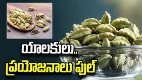 నిద్రపోయే ముందు రెండు యాలకులు నమిలితే ఇన్ని ప్రయోజనాలా..? 