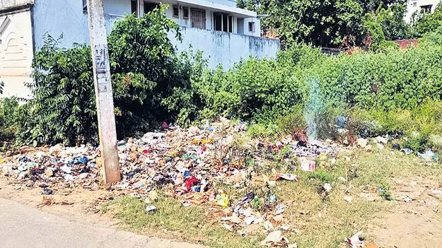 ‘పేట’లో పారిశుధ్యం అధ్వానం