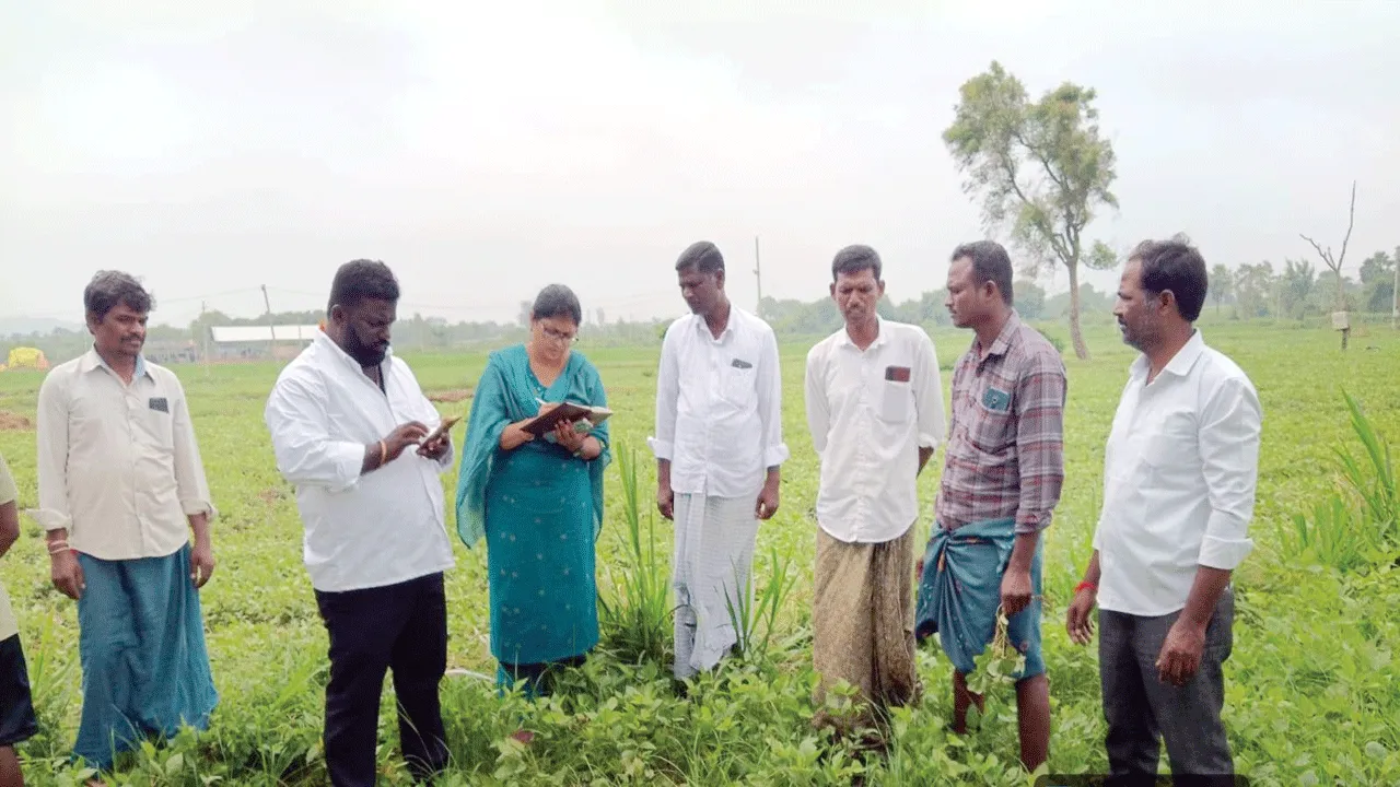 తెగుళ్ల నివారణపై రైతులకు అవగాహన
