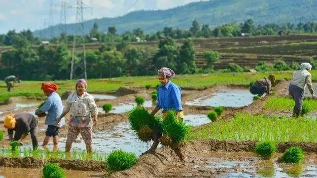వారసత్వ రైతులకు అన్యాయం!