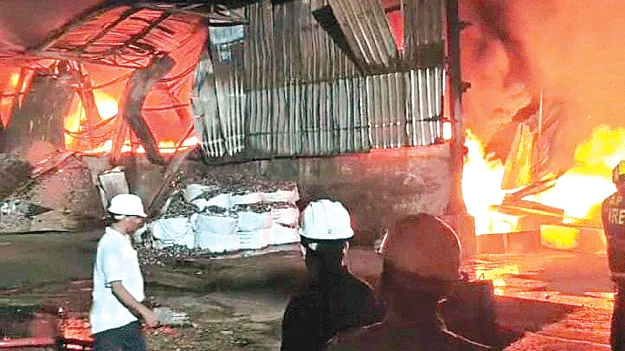 Massive explosion in the berry industry బెర్రీ పరిశ్రమలో భారీ పేలుడు