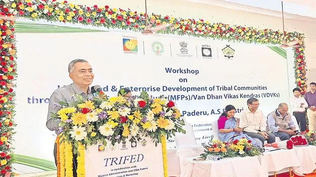 గిరిజనులకు సుస్థిర జీవనోపాధికి చర్యలు