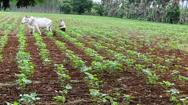 భూమి ఎక్కడ?