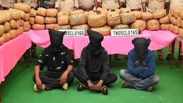 600 కిలోల గంజాయి స్వాధీనం