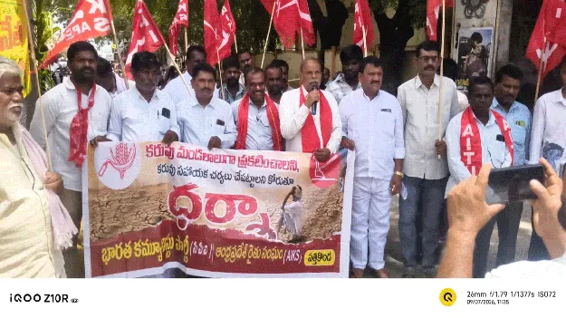 కరువు సహాయక చర్యలు చేపట్టాలి