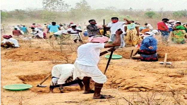 ఎల్‌నినో ఎఫెక్ట్‌