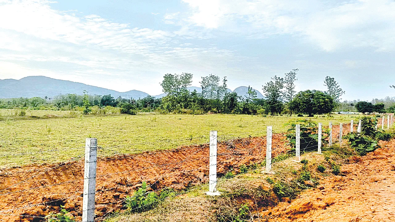 land encroach జప్తు భూములేగా.. ఆక్రమించేద్దాం!