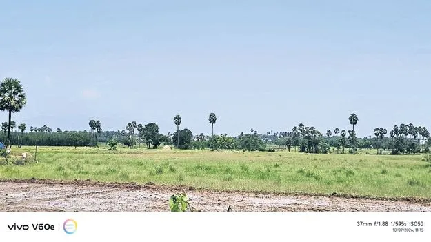 రబీకి సానుకూలమే!