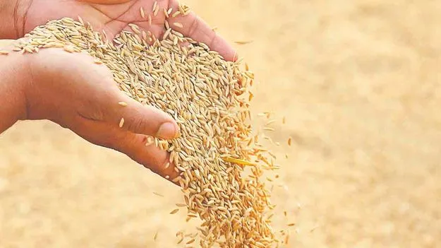 రూ.30 కోట్ల రైతుల సొమ్ముకు ఎసరు?