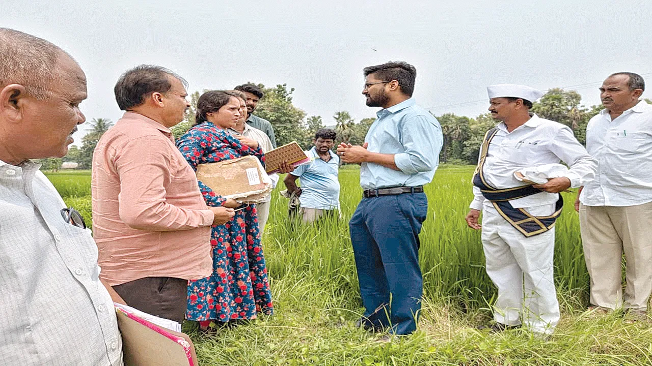 ప్రజలకు సకాలంలో సేవలందించండి: జేసీ