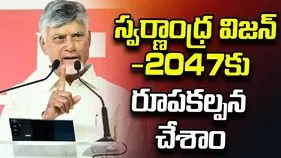సమర్థ నాయకత్వంతోనే సమస్యల పరిష్కారం: సీఎం చంద్రబాబు