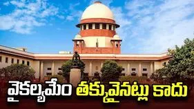 ఉద్యోగం ఉన్నంత మాత్రాన వైకల్యం తక్కువైనట్లు కాదు