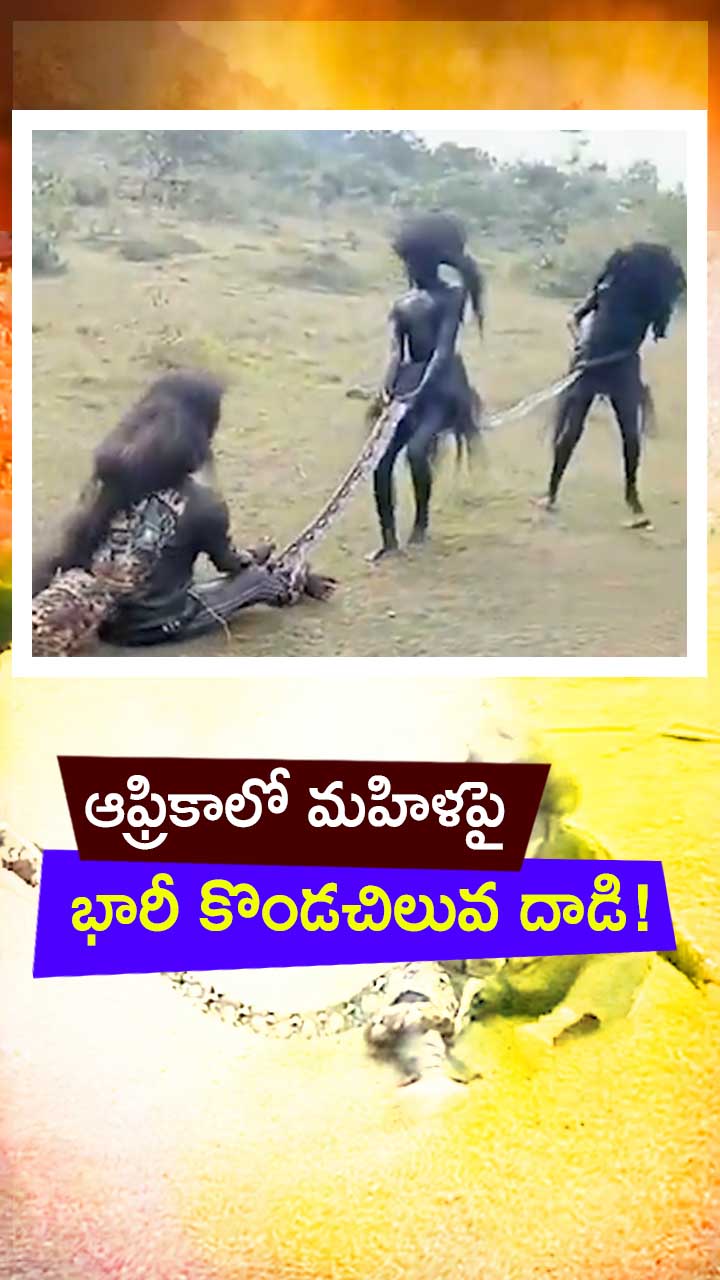 ఆఫ్రికాలో మహిళపై భారీ కొండచిలువ దాడి!
