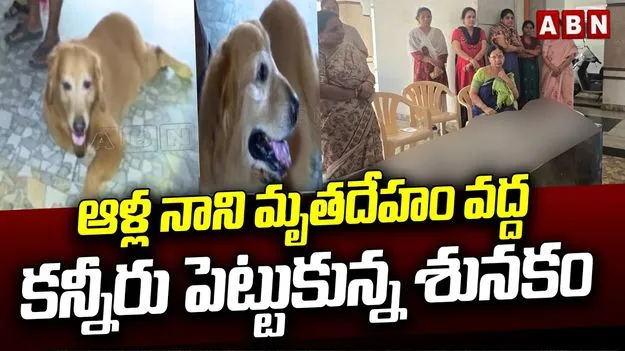 ఆళ్ల నాని మృతిని తొలుత గుర్తించింది ‘మ్యాక్సీ’నే: వాచ్‌మన్  
