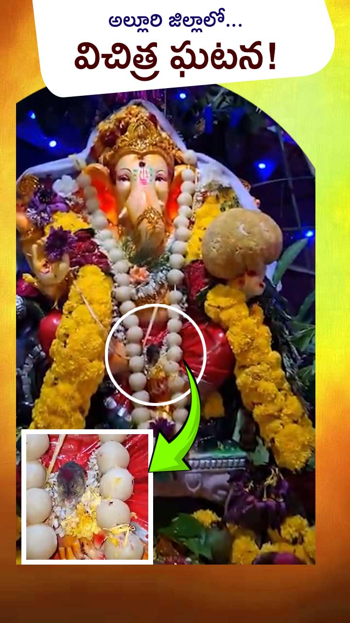 వినాయకుడి విగ్రహం వద్ద విచిత్ర ఘటన!