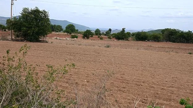 అంతటా కరువే..!