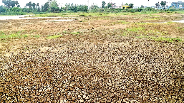 కరువు కమ్మేసింది