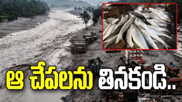 ఆ చేపలను తినకండి.. బిహార్ ప్రజలకు ప్రభుత్వం హెచ్చరిక