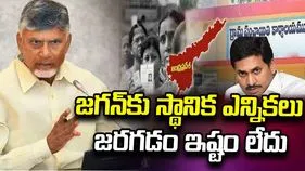 జగన్‌కు స్థానిక ఎన్నికలు జరగడం ఇష్టం లేదు: సీఎం చంద్రబాబు