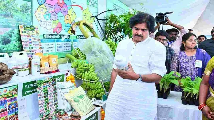 రాయలసీమ కరువు సీమ కాదు.. సిరుల సీమ: సీఎం చంద్రబాబు 