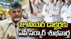 జూనియర్ డాక్టర్లకు ఏపీ సర్కార్ శుభవార్త..  స్టైపెండ్ పెంచుతూ ఉత్తర్వులు జారీ 