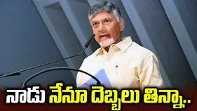 నా గురువు చేతిలో నేనూ దెబ్బలు తిన్నాను: సీఎం చంద్రబాబు