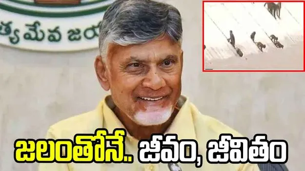 వానరాల దాహం తీర్చిన వెలిగొండ ఫీడర్ కెనాల్.. ఎక్స్‌లో సీఎం చంద్రబాబు పోస్ట్
