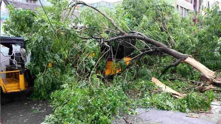 ఆర్నబ్ తుఫాన్ ప్రభావం.. ఏపీలో భారీ వర్షాలు