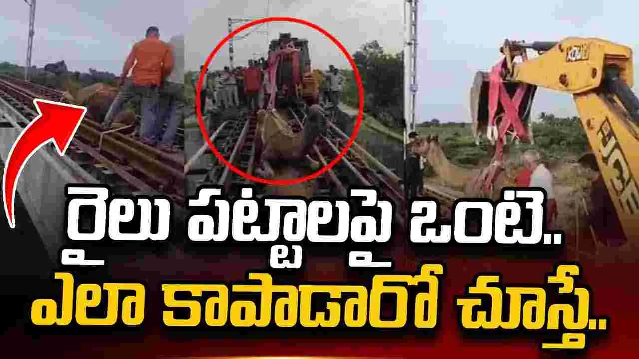 రైల్వే ట్రాక్‌పై చిక్కుకుపోయిన ఒంటె.. వీడియో వైరల్