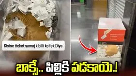 మెట్రో టికెట్ బాక్సులో పిల్లి కునుకు.. వీడియో వైరల్‌