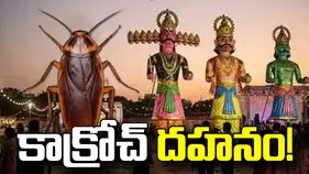 ఢిల్లీలో రావణుడితో పాటు 30 అడుగుల కాక్రోచ్ దిష్టిబొమ్మ దహనం!